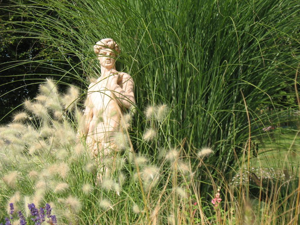 Domaine De La Jarrige Hotel Saint-Vaury Eksteriør billede