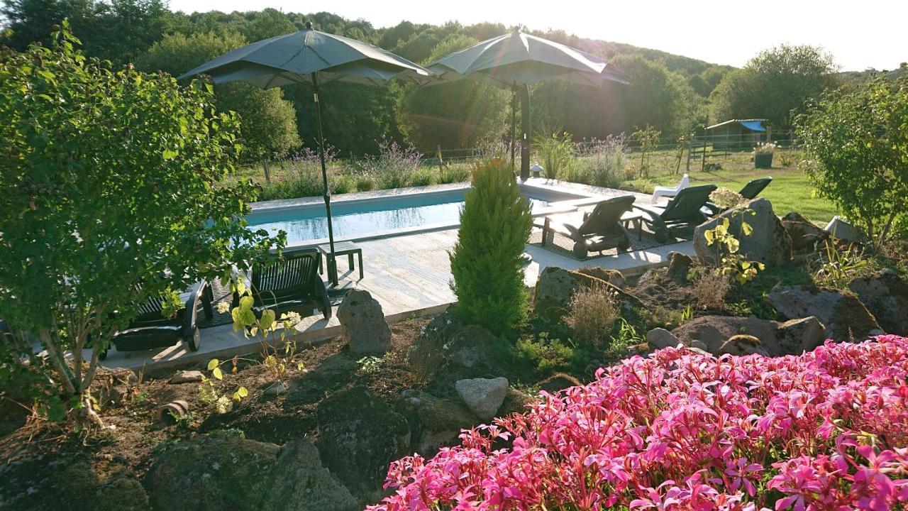 Domaine De La Jarrige Hotel Saint-Vaury Eksteriør billede